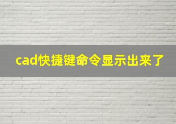 cad快捷键命令显示出来了