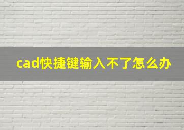 cad快捷键输入不了怎么办