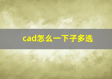 cad怎么一下子多选