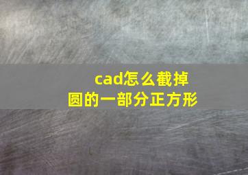 cad怎么截掉圆的一部分正方形