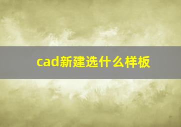 cad新建选什么样板