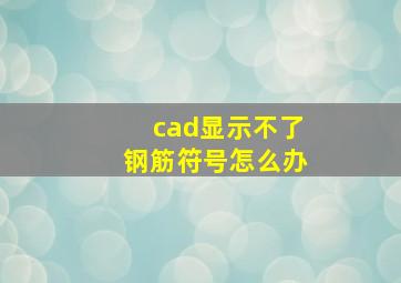 cad显示不了钢筋符号怎么办