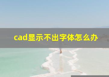 cad显示不出字体怎么办