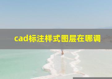 cad标注样式图层在哪调