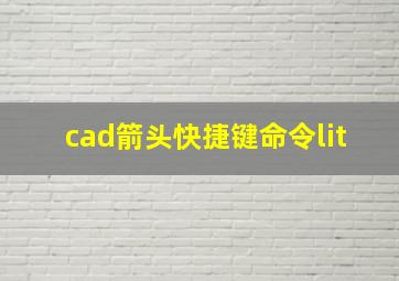 cad箭头快捷键命令lit