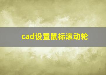 cad设置鼠标滚动轮