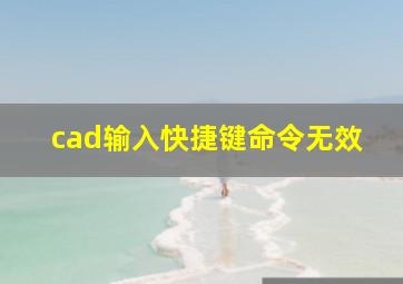 cad输入快捷键命令无效