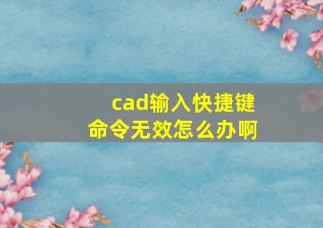 cad输入快捷键命令无效怎么办啊