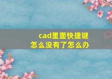 cad里面快捷键怎么没有了怎么办