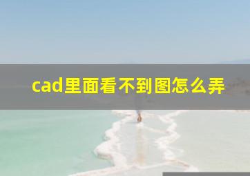 cad里面看不到图怎么弄