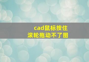 cad鼠标按住滚轮拖动不了图