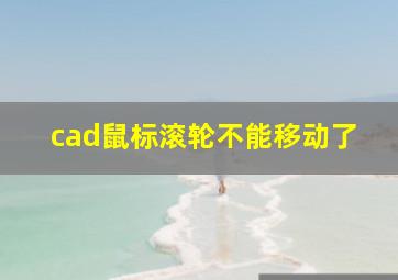 cad鼠标滚轮不能移动了