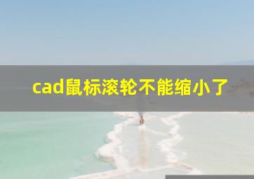 cad鼠标滚轮不能缩小了