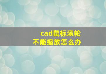 cad鼠标滚轮不能缩放怎么办