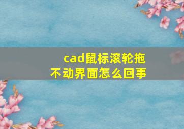 cad鼠标滚轮拖不动界面怎么回事