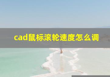 cad鼠标滚轮速度怎么调