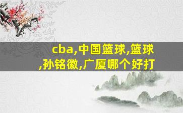 cba,中国篮球,篮球,孙铭徽,广厦哪个好打