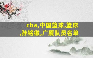 cba,中国篮球,篮球,孙铭徽,广厦队员名单