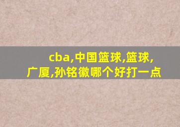 cba,中国篮球,篮球,广厦,孙铭徽哪个好打一点