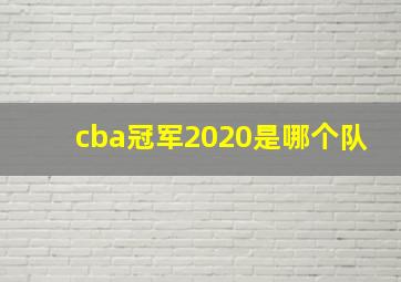 cba冠军2020是哪个队