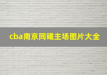 cba南京同曦主场图片大全