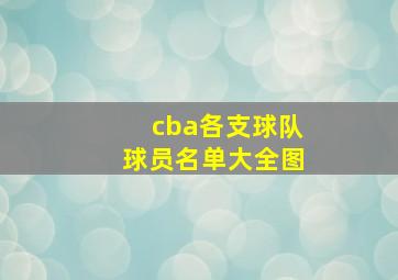 cba各支球队球员名单大全图