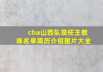 cba山西队现任主教练名单简历介绍图片大全