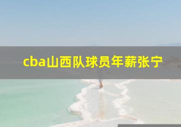 cba山西队球员年薪张宁