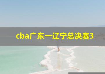 cba广东一辽宁总决赛3