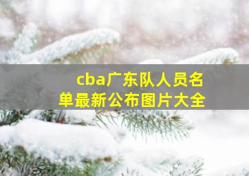 cba广东队人员名单最新公布图片大全