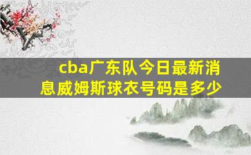 cba广东队今日最新消息威姆斯球衣号码是多少