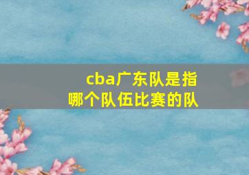 cba广东队是指哪个队伍比赛的队