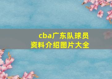 cba广东队球员资料介绍图片大全