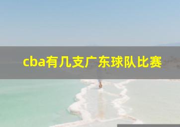 cba有几支广东球队比赛