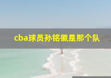 cba球员孙铭徽是那个队