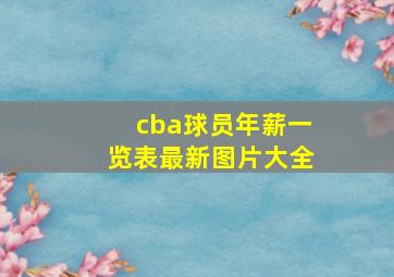 cba球员年薪一览表最新图片大全