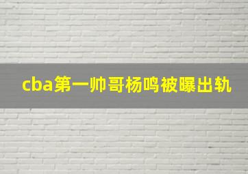 cba第一帅哥杨鸣被曝出轨