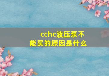 cchc液压泵不能买的原因是什么