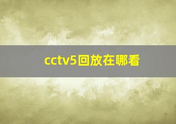 cctv5回放在哪看