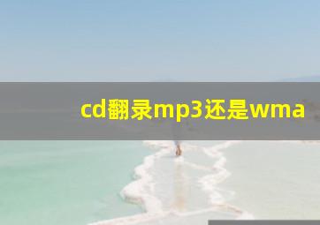 cd翻录mp3还是wma