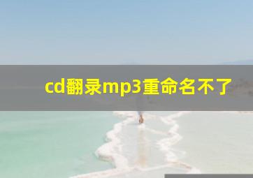 cd翻录mp3重命名不了