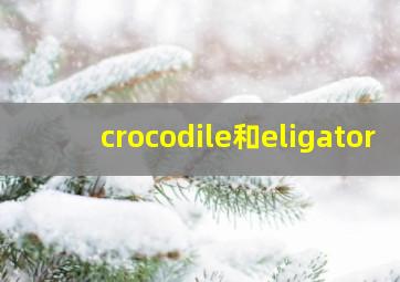 crocodile和eligator