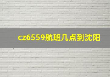 cz6559航班几点到沈阳