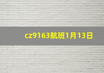 cz9163航班1月13日