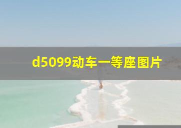 d5099动车一等座图片