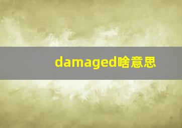 damaged啥意思