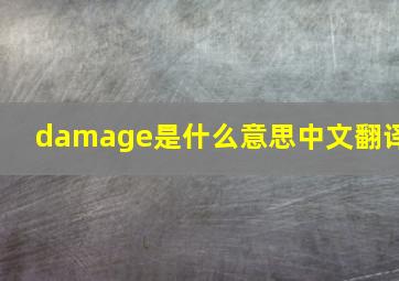 damage是什么意思中文翻译