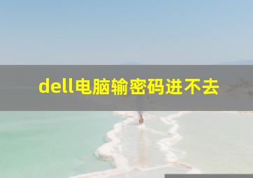 dell电脑输密码进不去