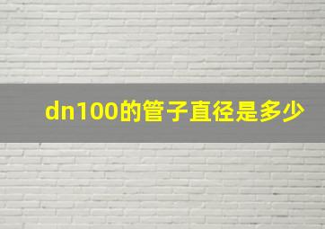 dn100的管子直径是多少