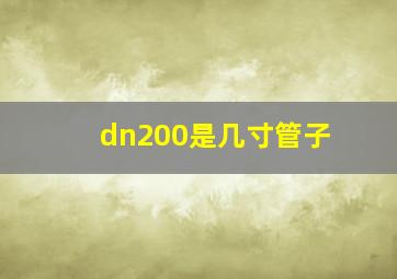 dn200是几寸管子